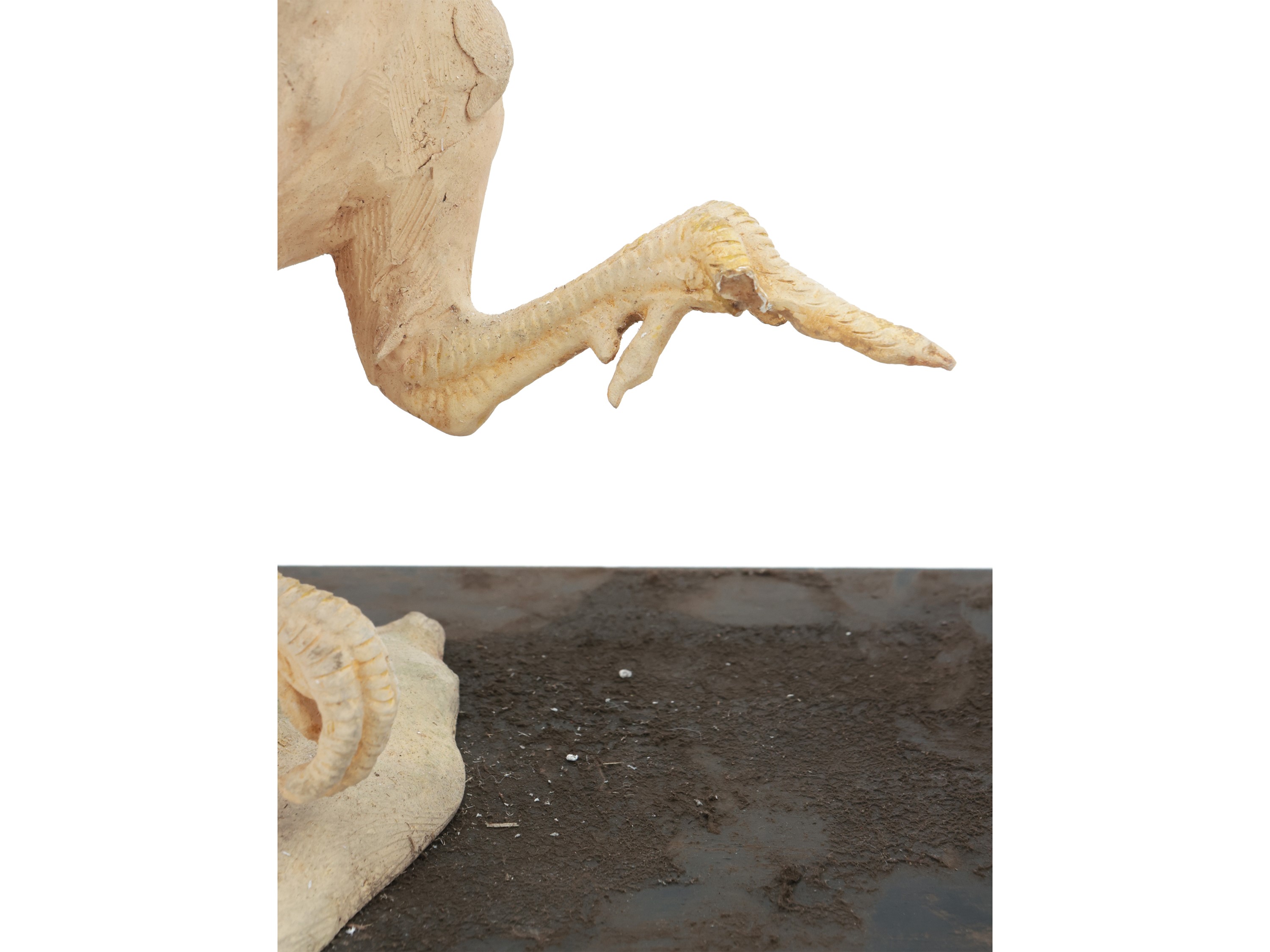 Gruppo in terracotta