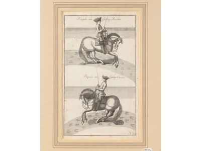 Parate Equestri