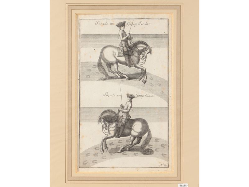 Parate Equestri