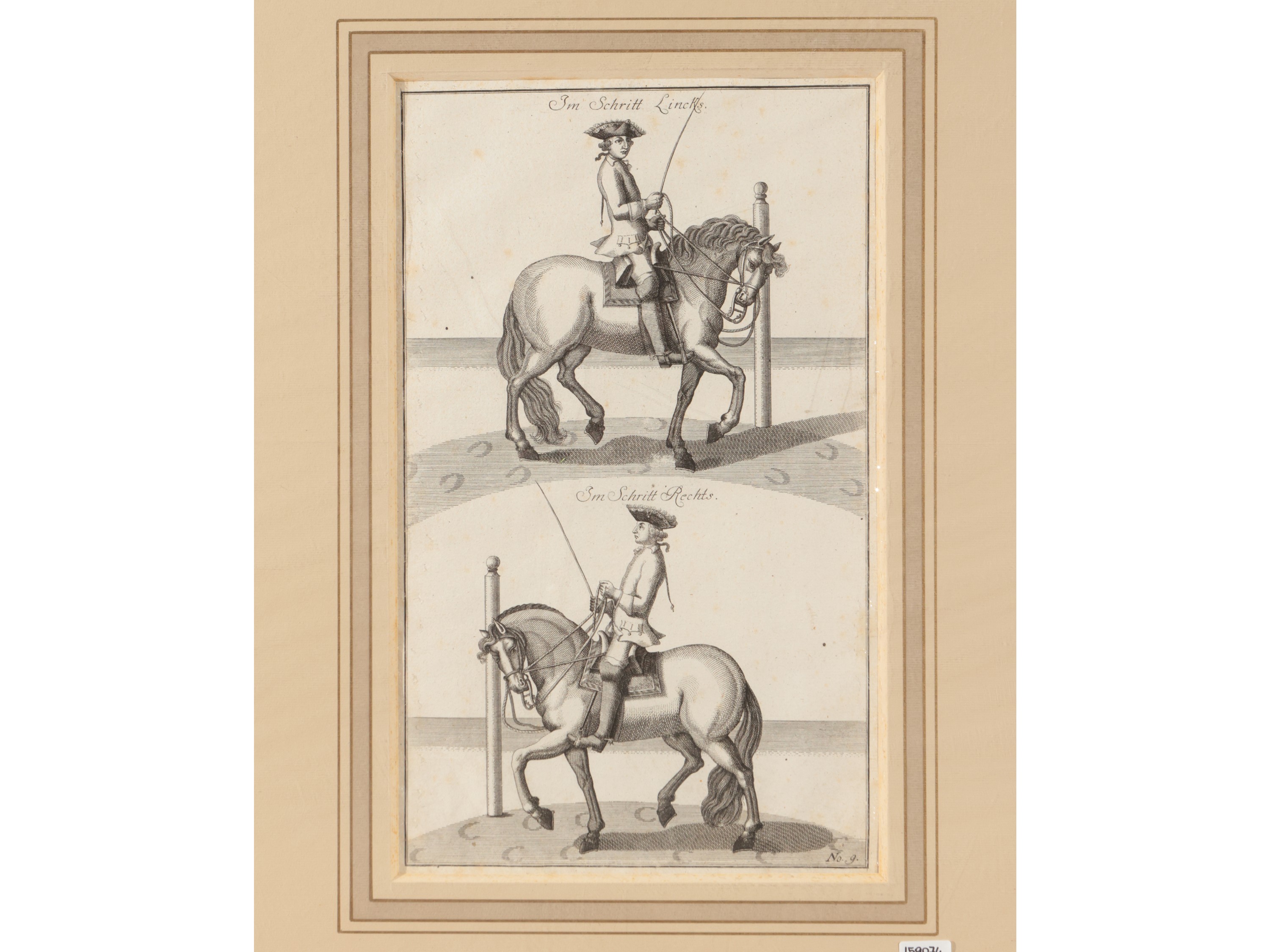 Parate Equestri