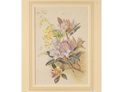 Fiori
