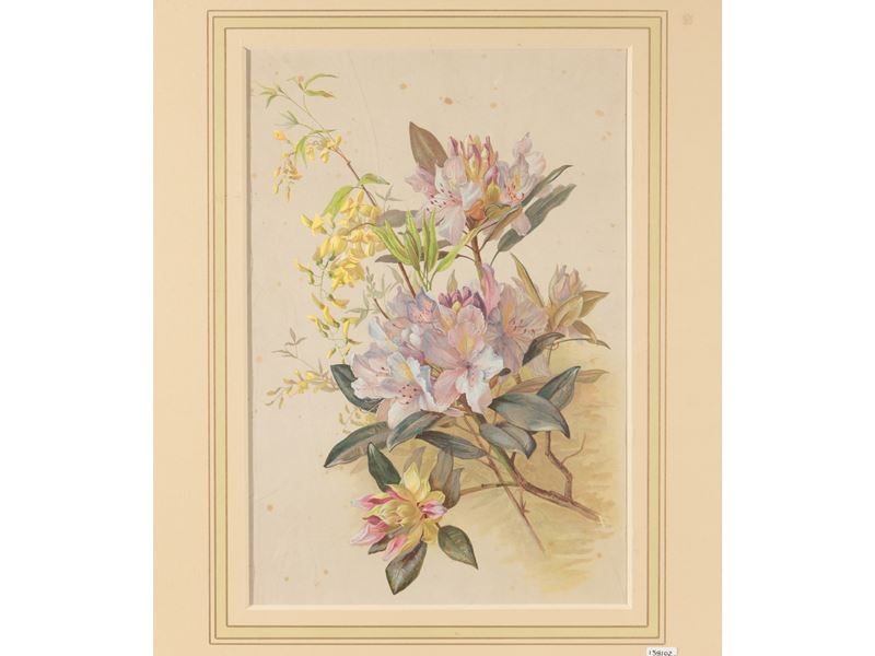 Fiori
