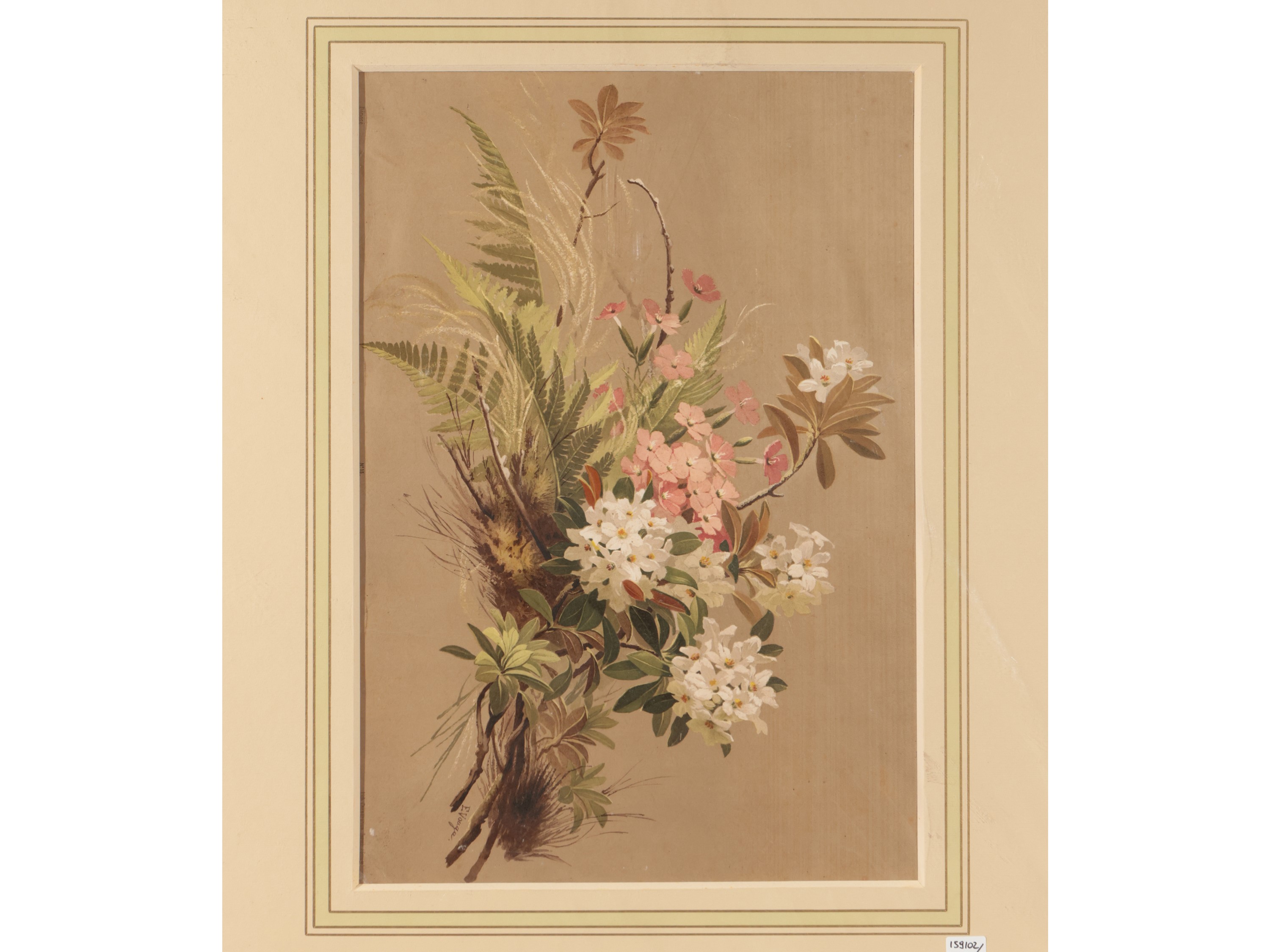 Fiori