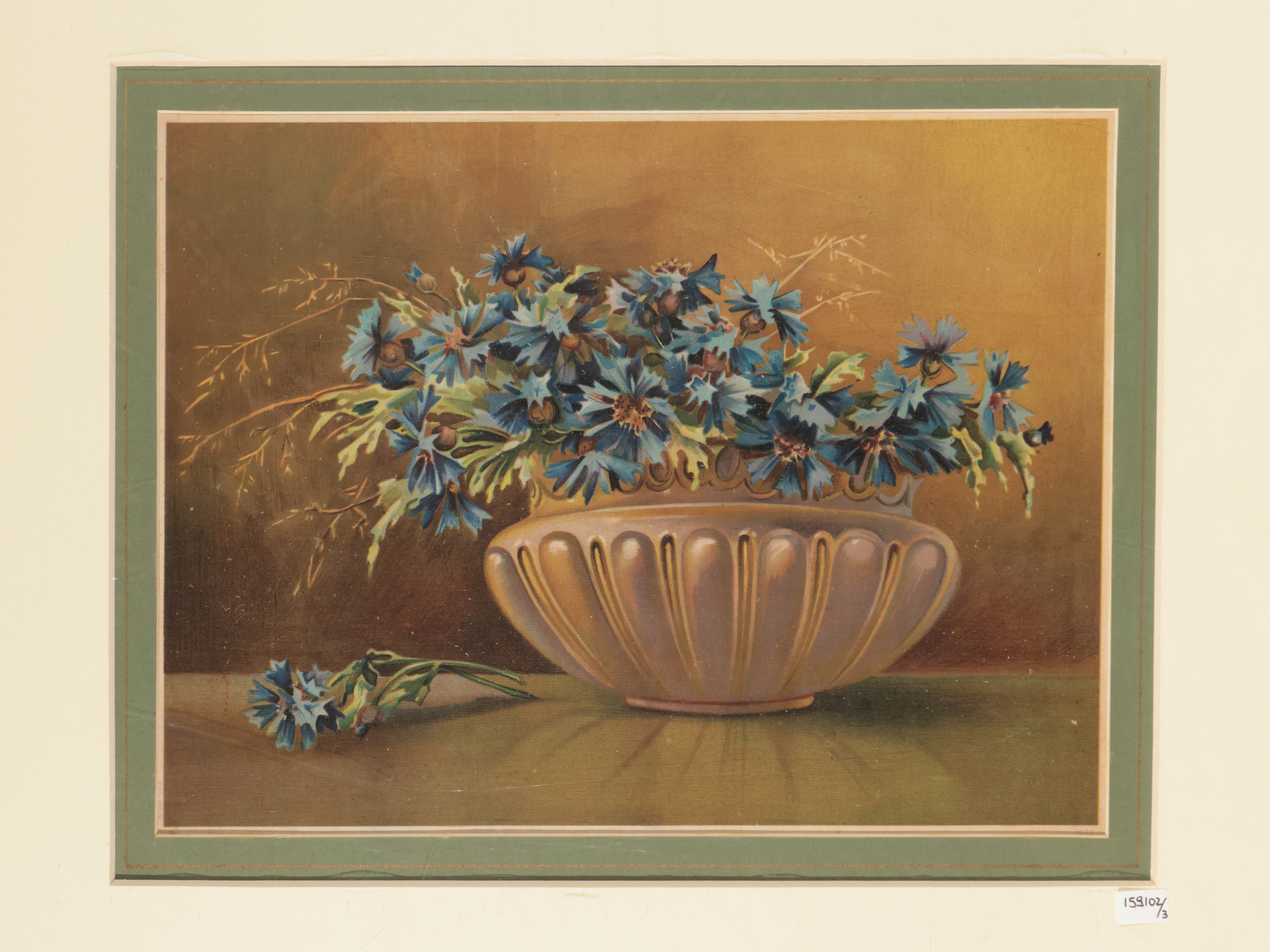 Fiori