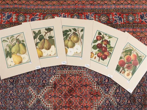 Varietà di frutta  (Fine del XIX secolo)  - Asta Una collezione di stampe - parte II - Maison Bibelot - Casa d'Aste Firenze - Milano
