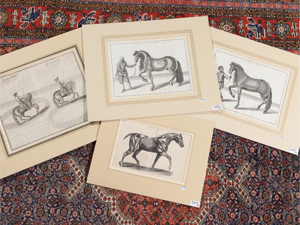 Horses  (18th-19th century)  - Auction A print collection - II part - Maison Bibelot - Casa d'Aste Firenze - Milano
