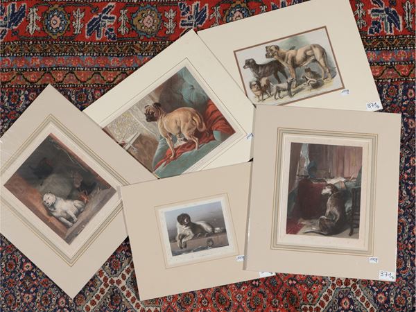 Cani  (Metà del XIX secolo)  - Asta Una collezione di stampe - parte II - Maison Bibelot - Casa d'Aste Firenze - Milano