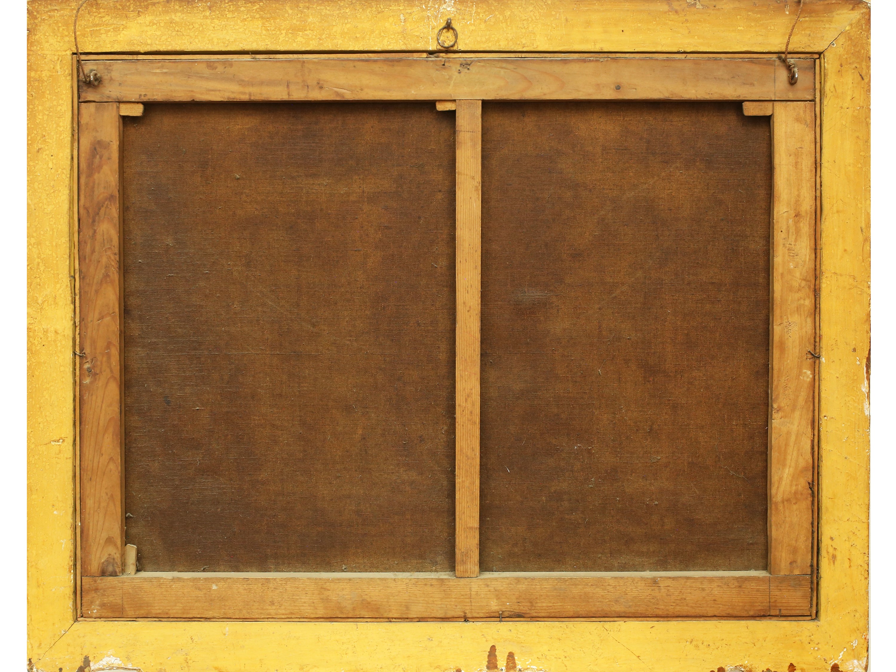 Pesci, molluschi e conchiglie