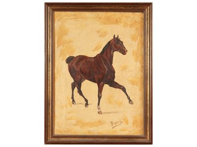 Cavallo