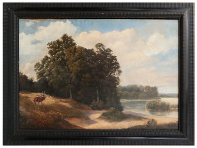 Paesaggio