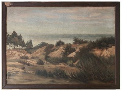 Paesaggio