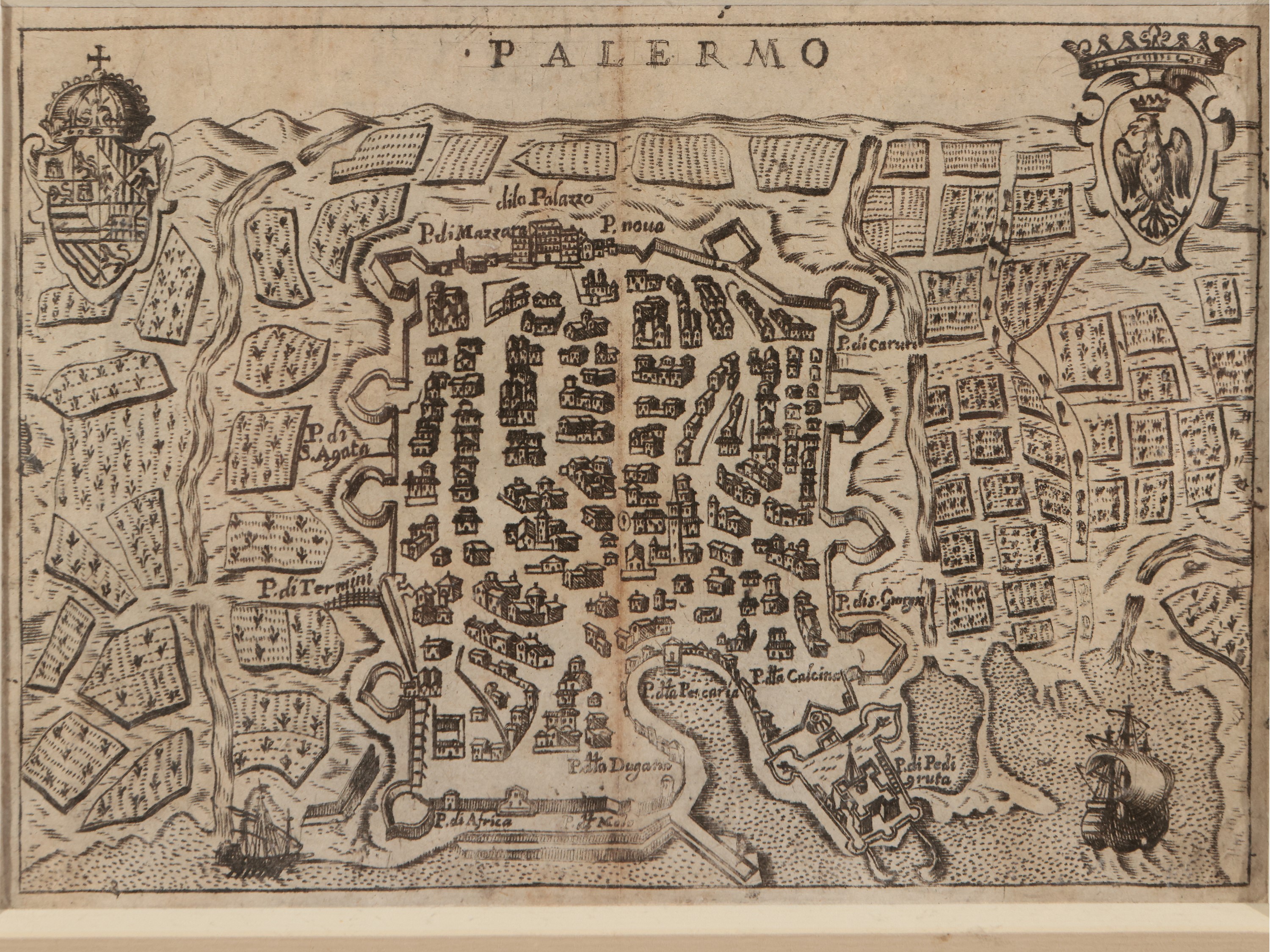 Francesco Scoto - Palermo
