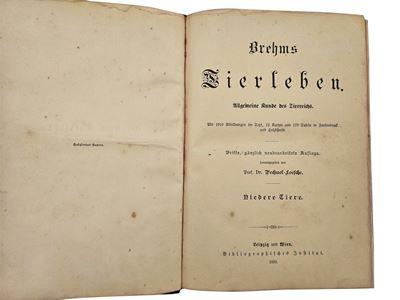 Brehms Tierleben. Allgemeine Kunde Des Tierreichs: Niederen Tier