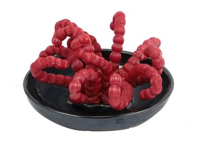 Pianta Marina in Pasta Vitrea Rossa e Nera Fortemente Iridata