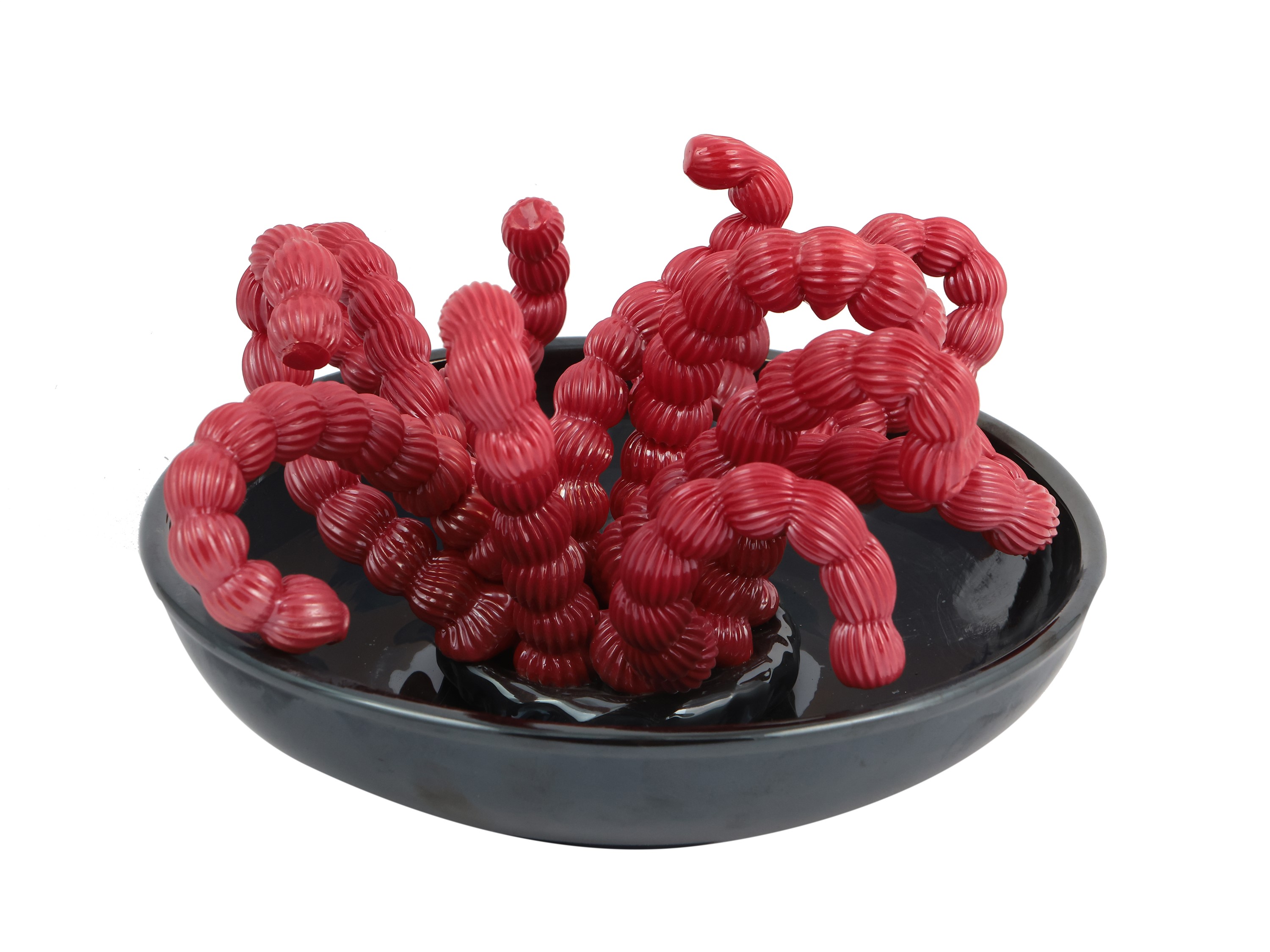 Pianta Marina in Pasta Vitrea Rossa e Nera Fortemente Iridata