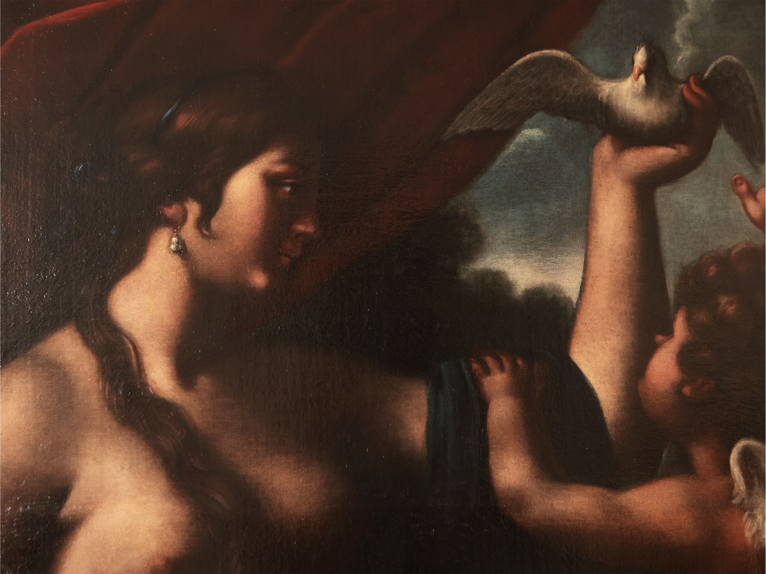 Scuola Emiliana del XVII/XVIII Secolo - Venere e Cupido