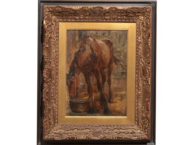 Cavallo All'abbeveratoio