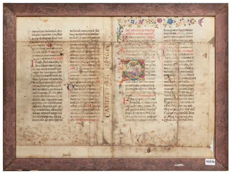 Pagina di Manoscritto Miniato