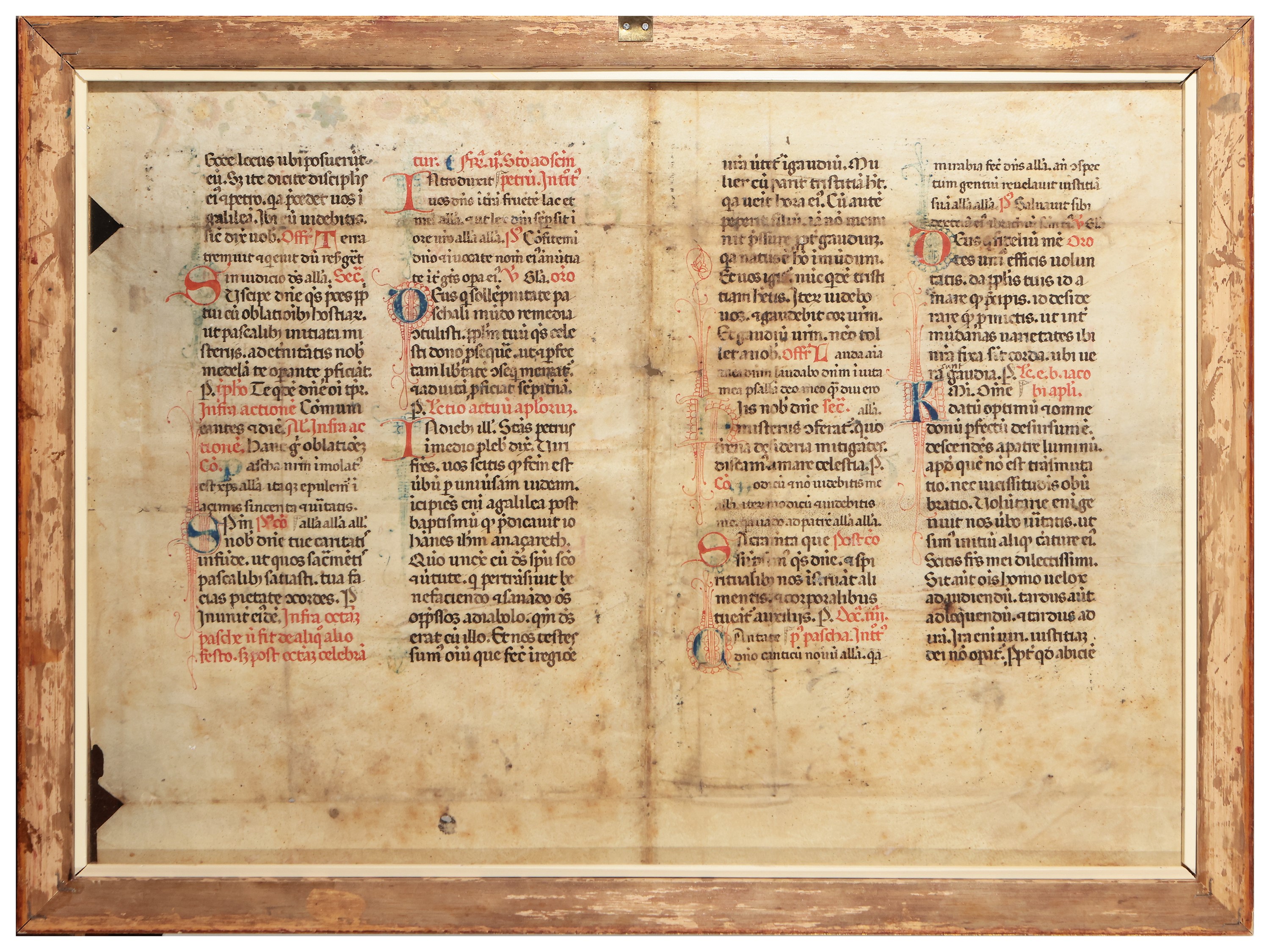 Pagina di Manoscritto Miniato