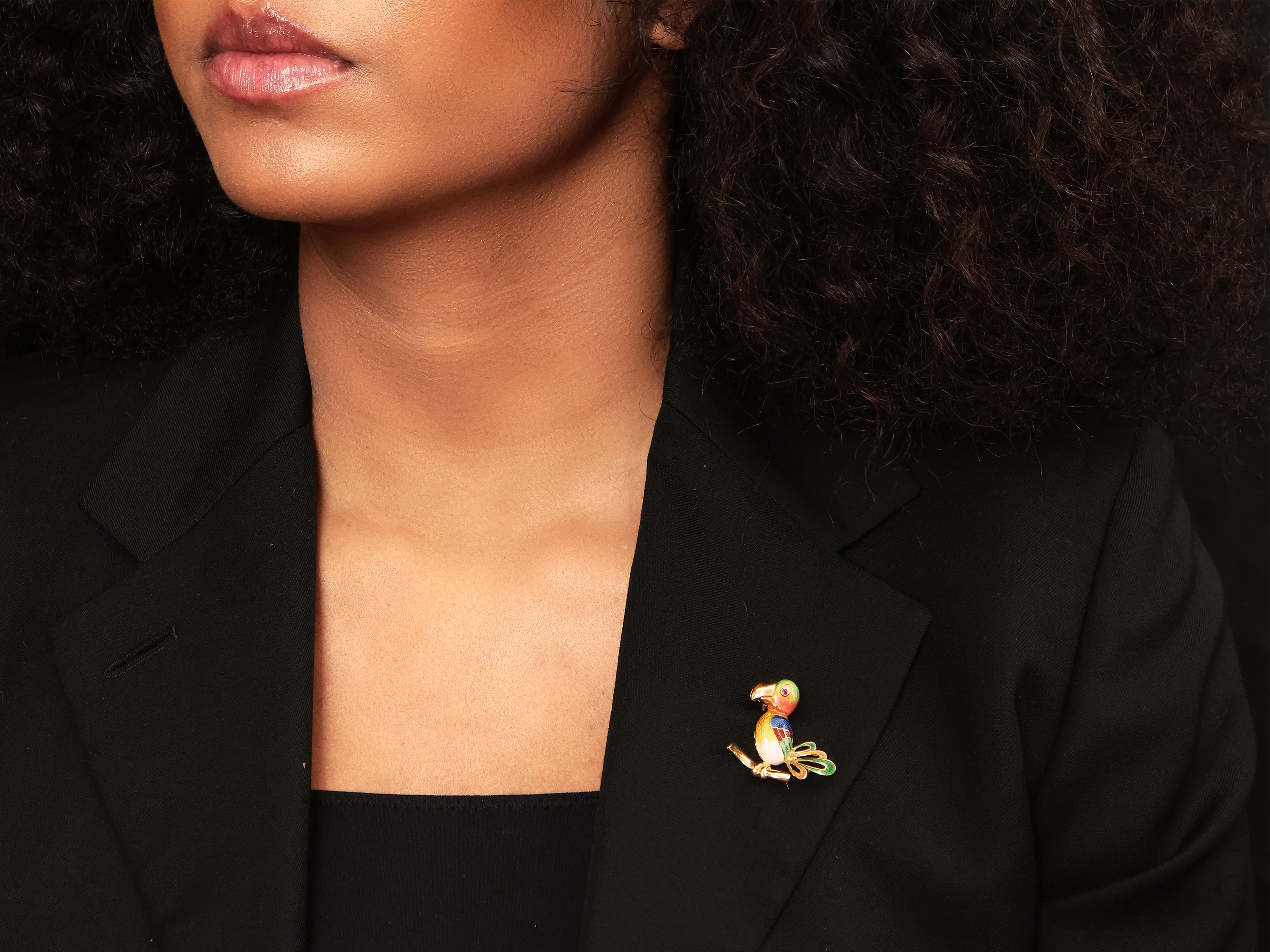 Spilla Animalier in Oro Giallo con Rubino e Smalti Policromi
