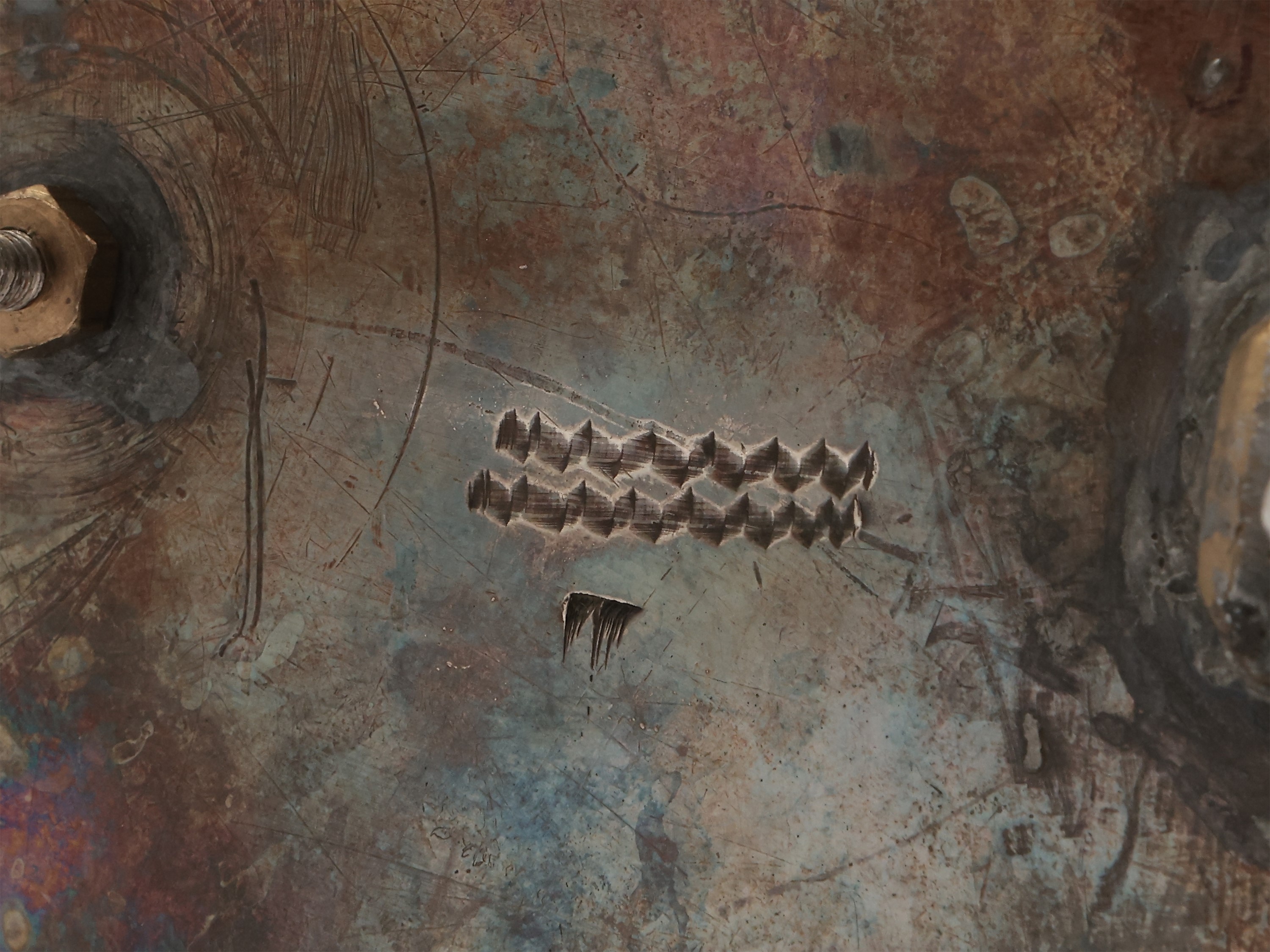 Oliera in argento, Luca Baccaro