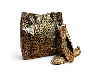 Lotto, una Borsa Roberto Cavalli ed un Paio di Ballerine