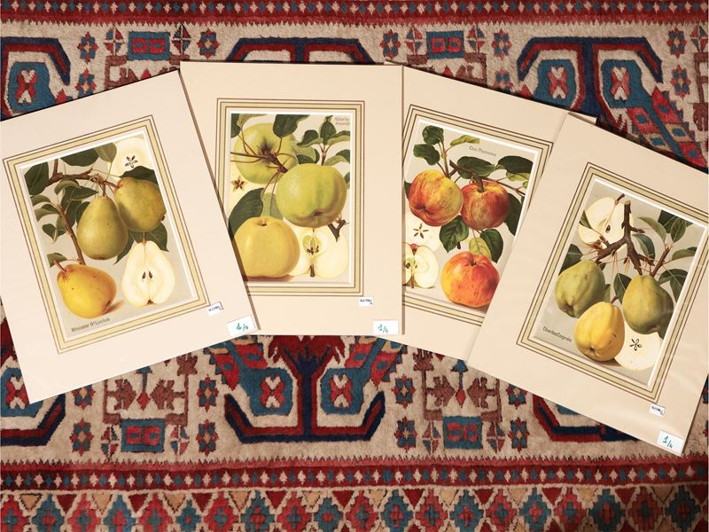 Frutta