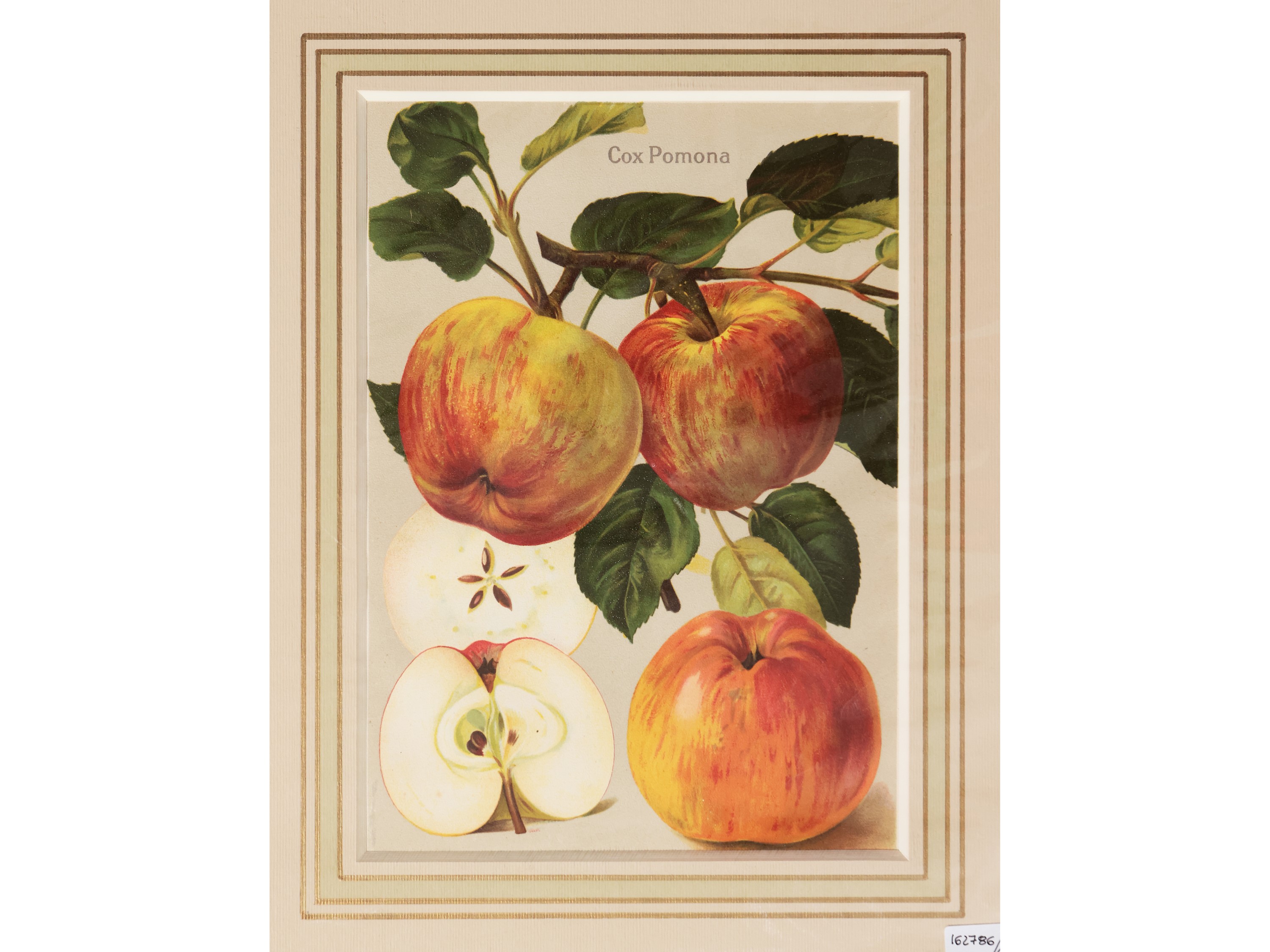 Frutta