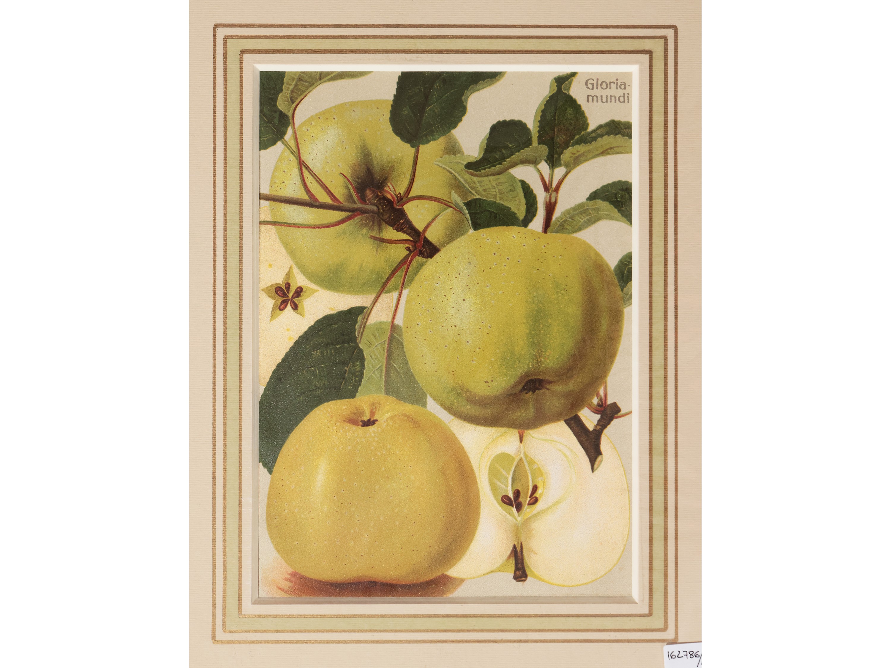 Frutta