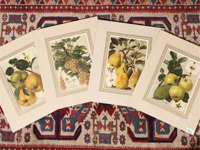 Frutta