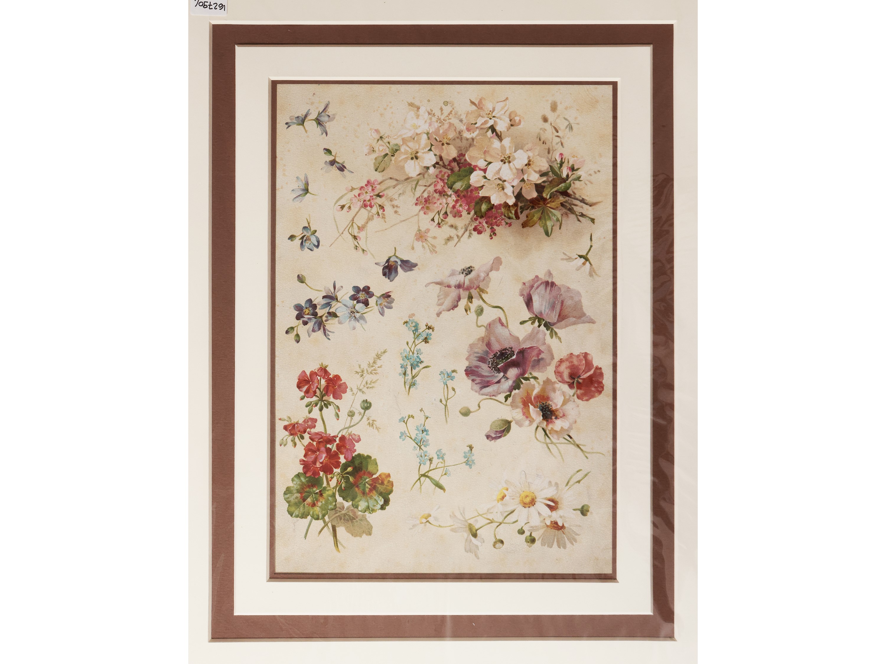 Fiori