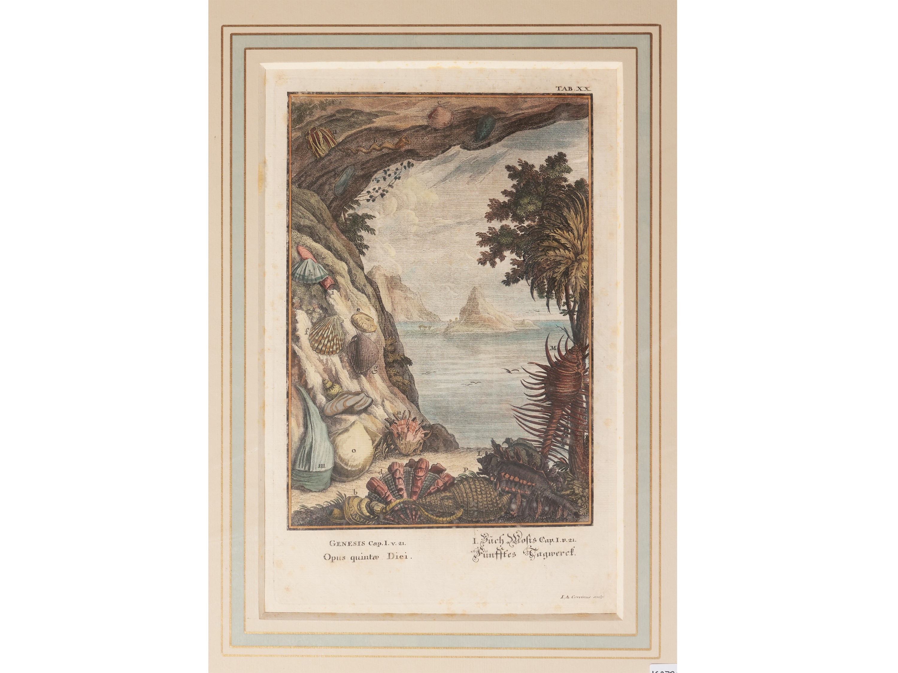 Johann August Corvinus - Genesis Cap. i V. 21: Opus Quintae Diei (XVIII Secolo)