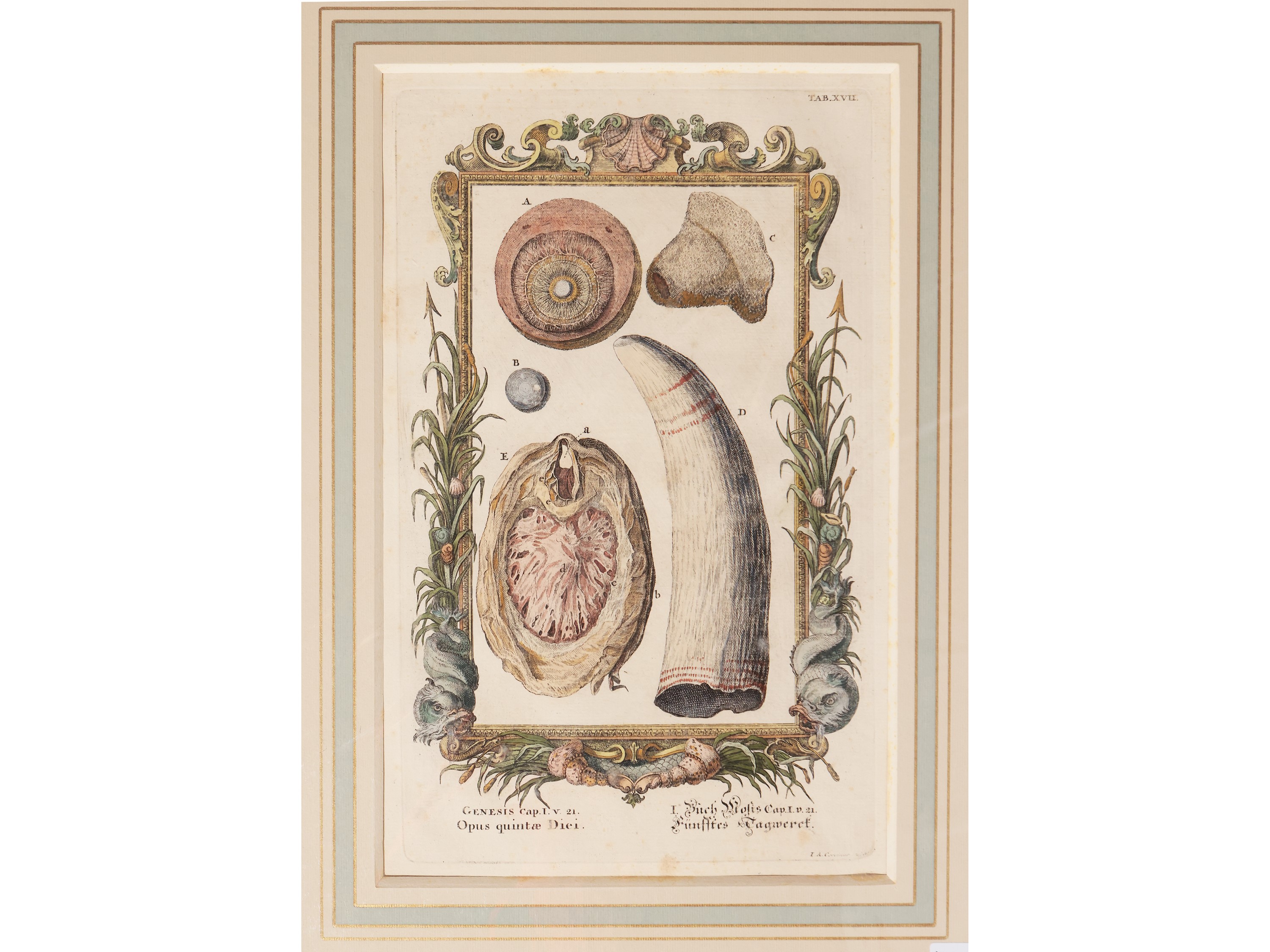 Johann August Corvinus - Genesis Cap. i V. 21: Opus Quintae Diei (XVIII Secolo)