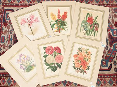 Fiori