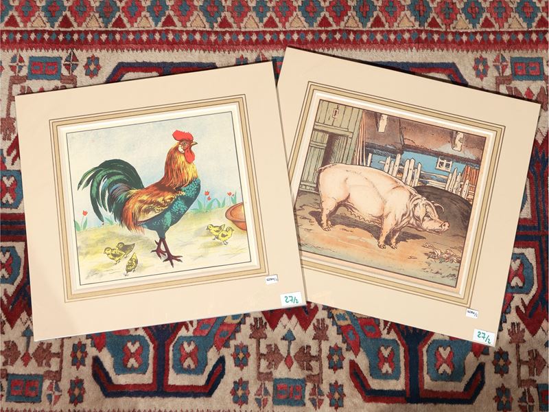 Il Gallo - il Maiale