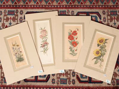 Fiori