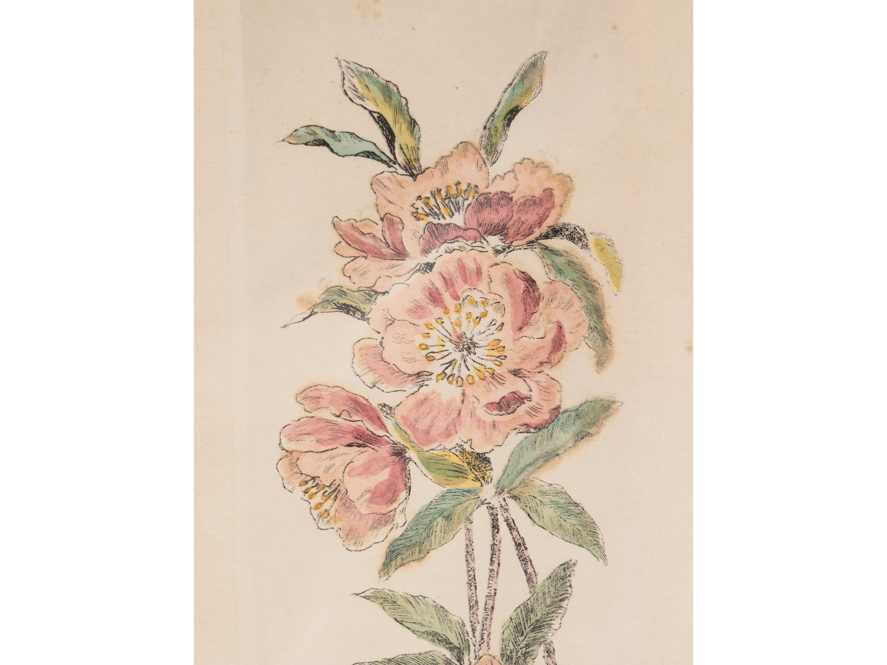 Fiori