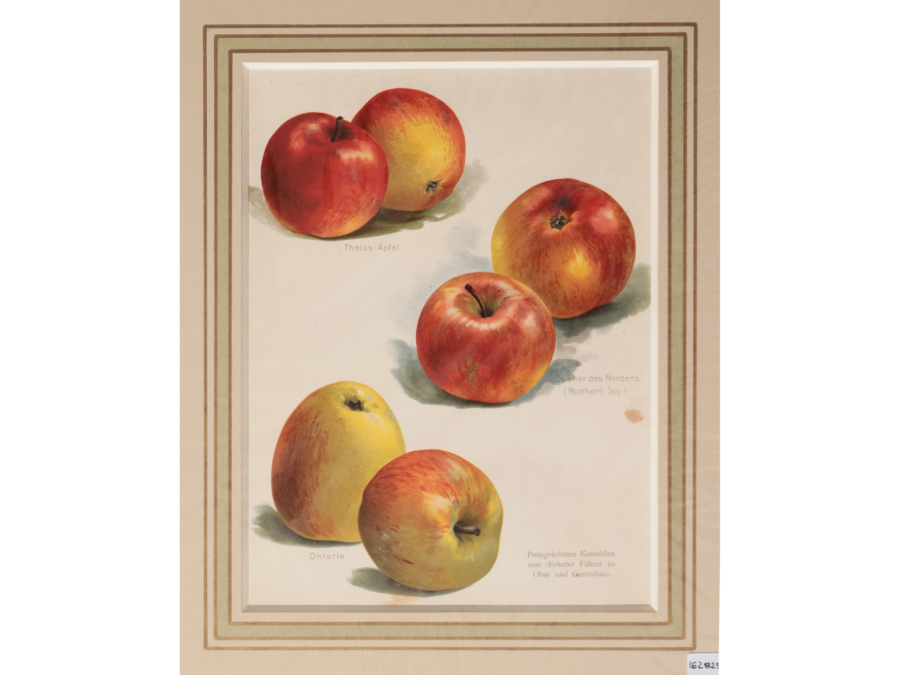 Mele e Pere