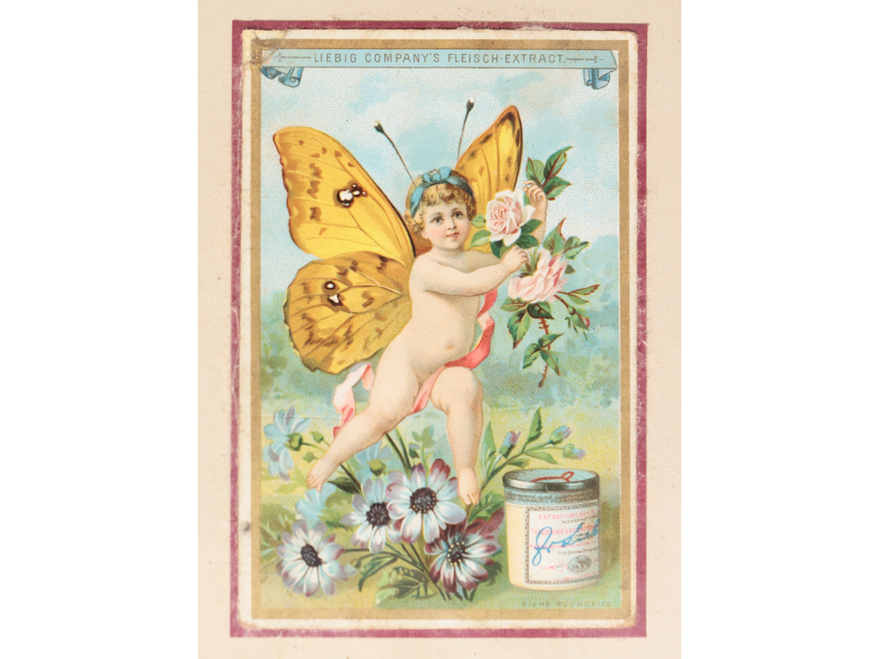 Liebig Serie Farfalle