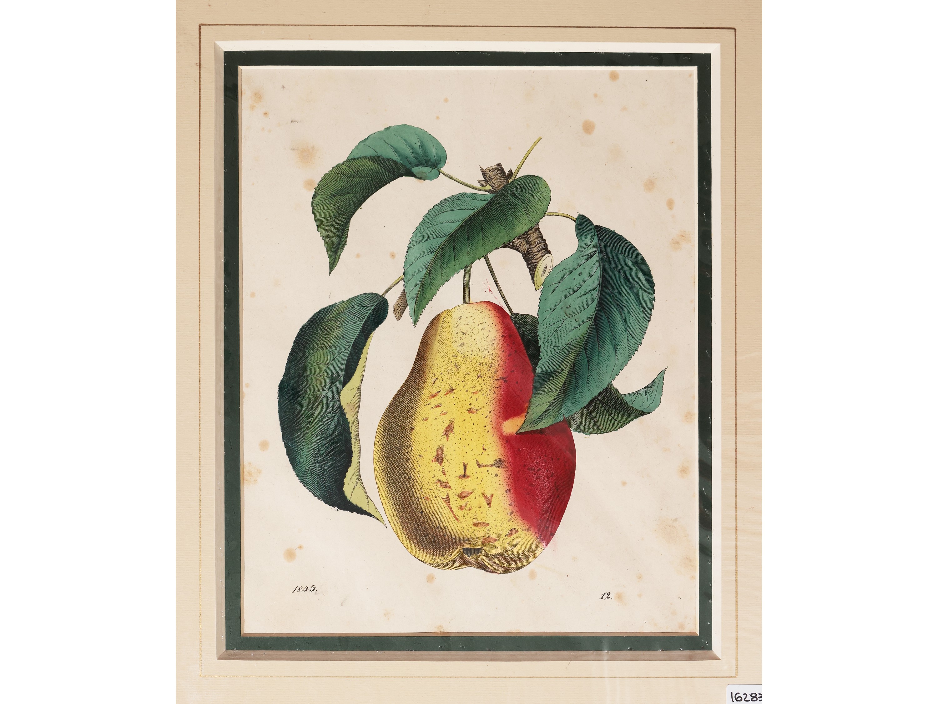 Frutta