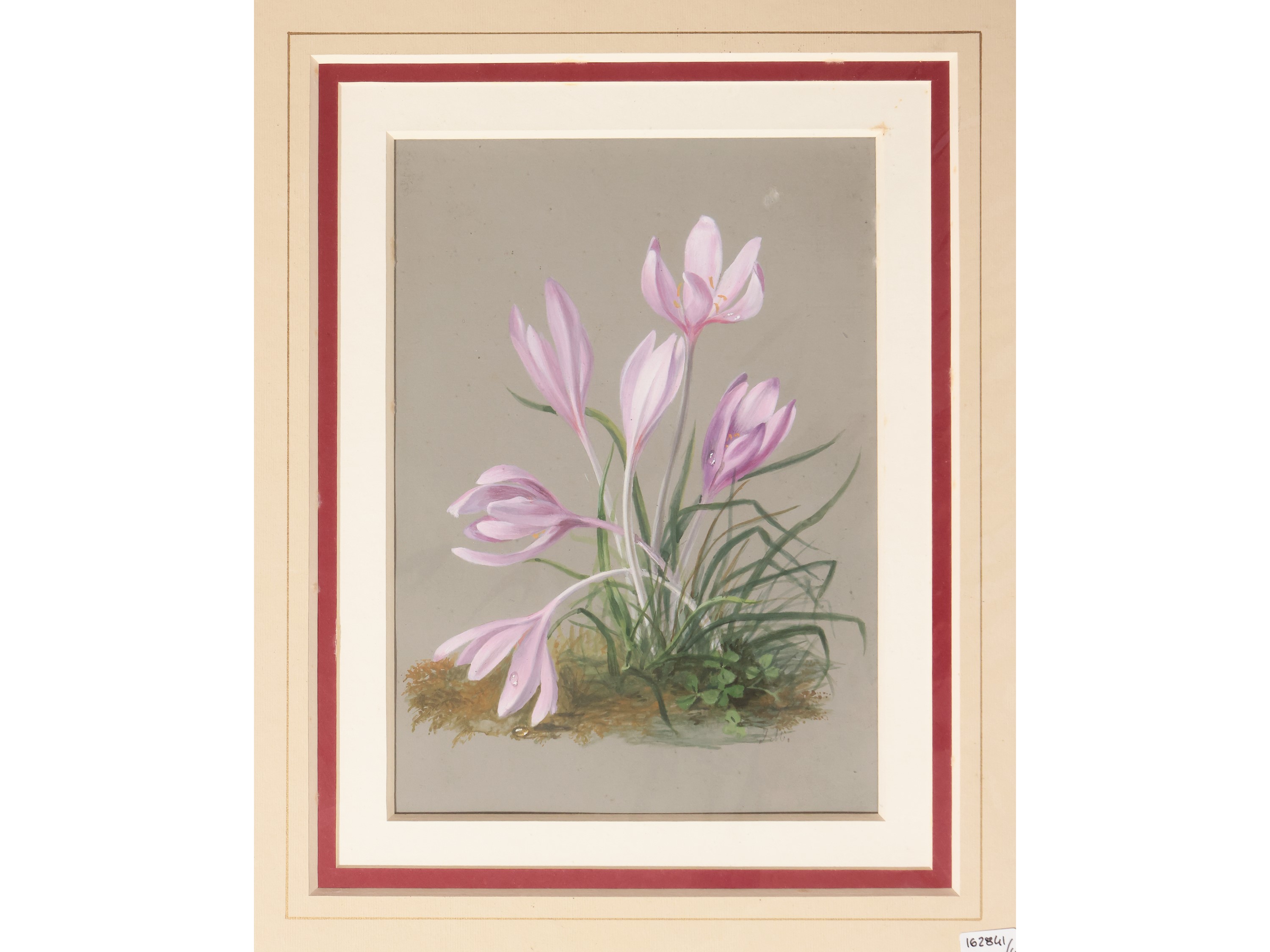 Fiori