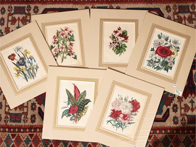 Fiori