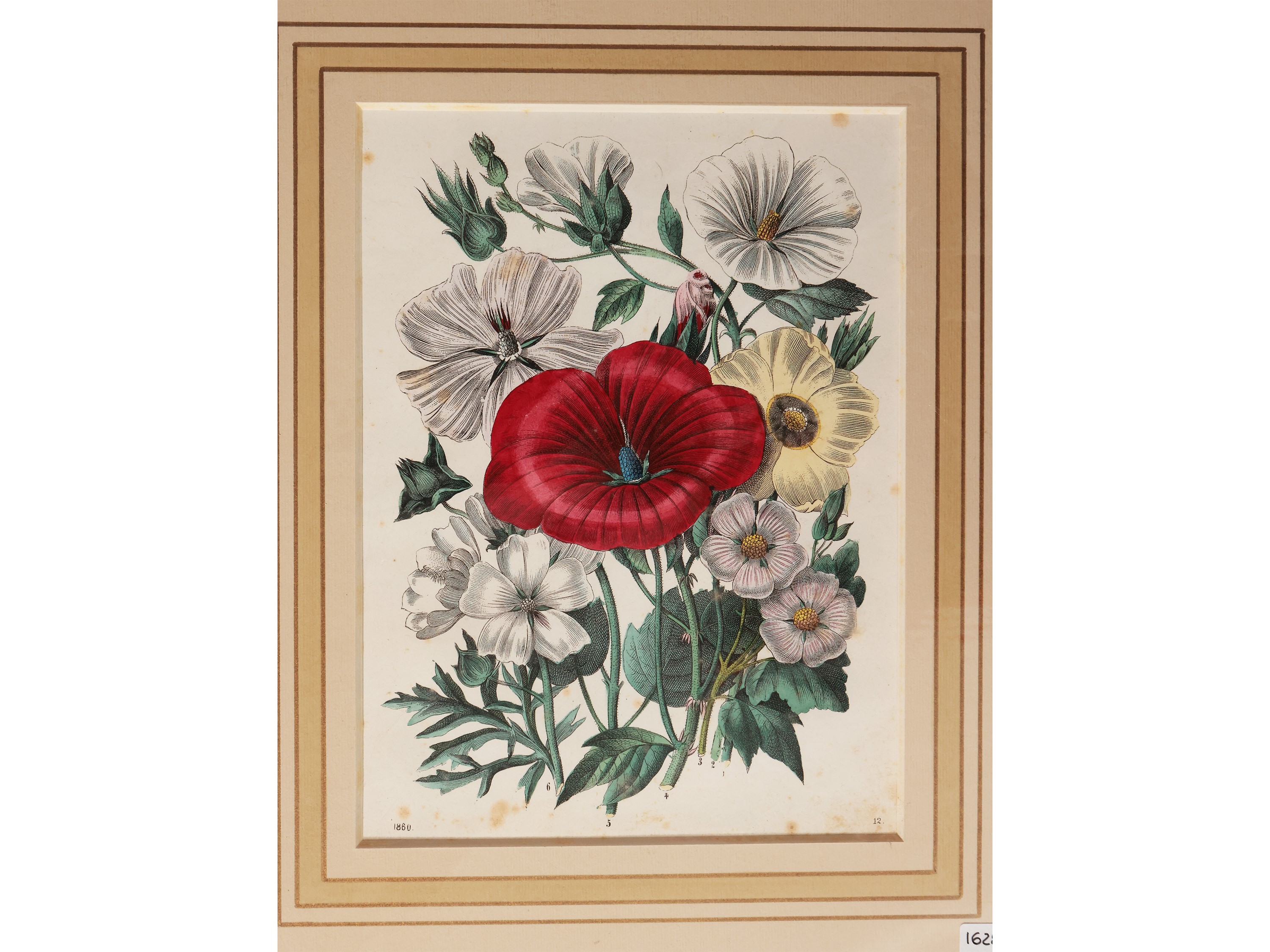 Fiori