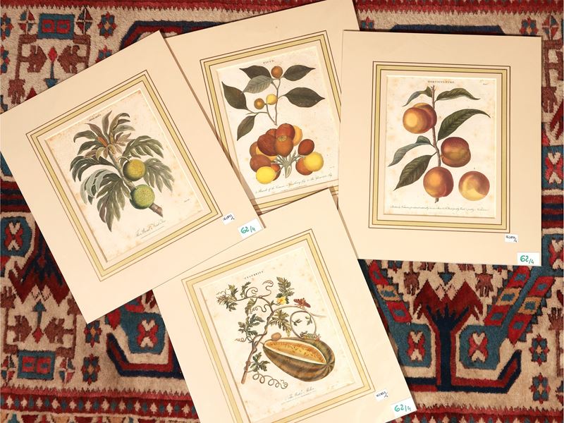 Artocarpus - Cucurbita - Ficus - Horticulture