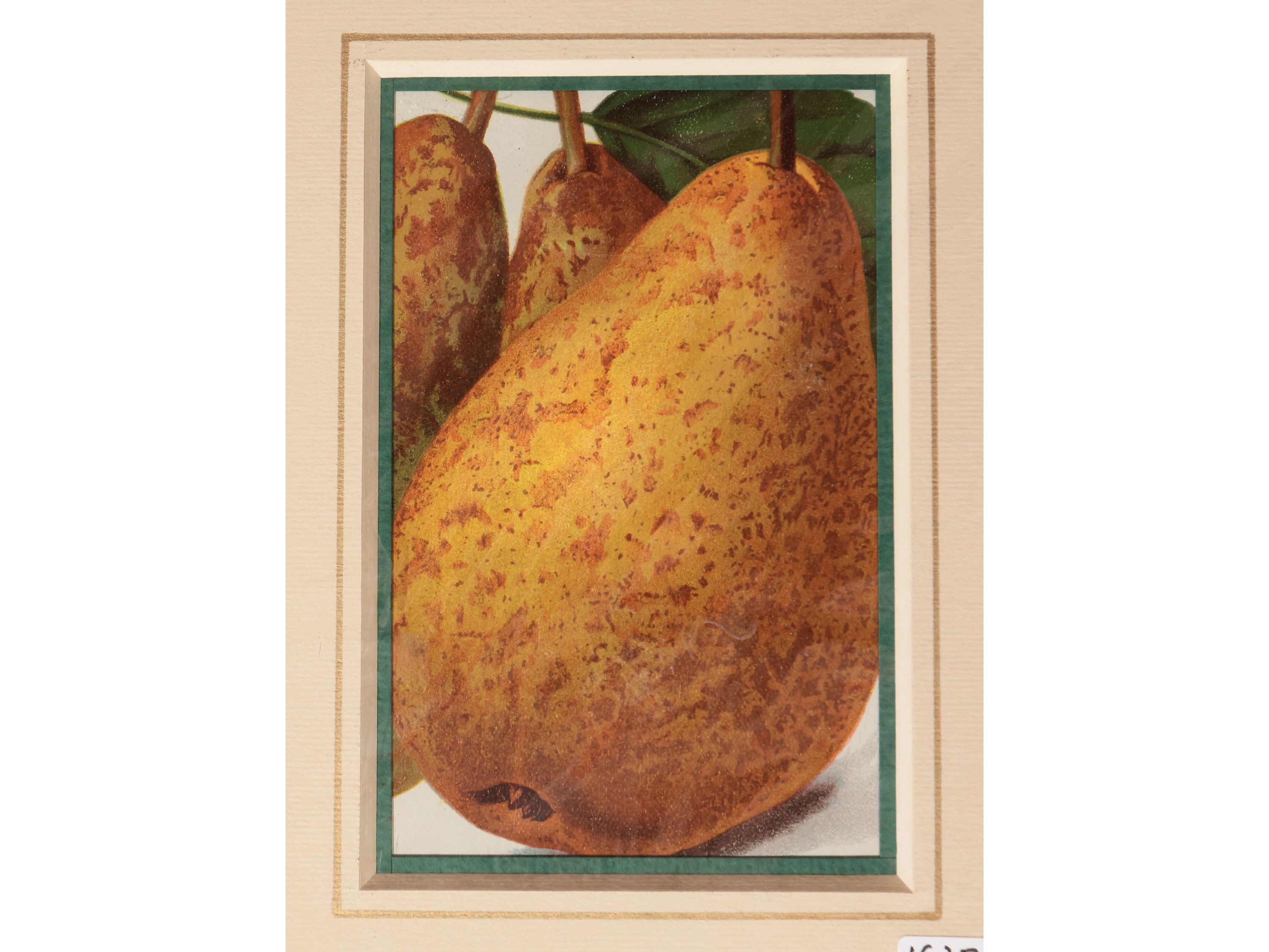 Frutta: Mele e Pere