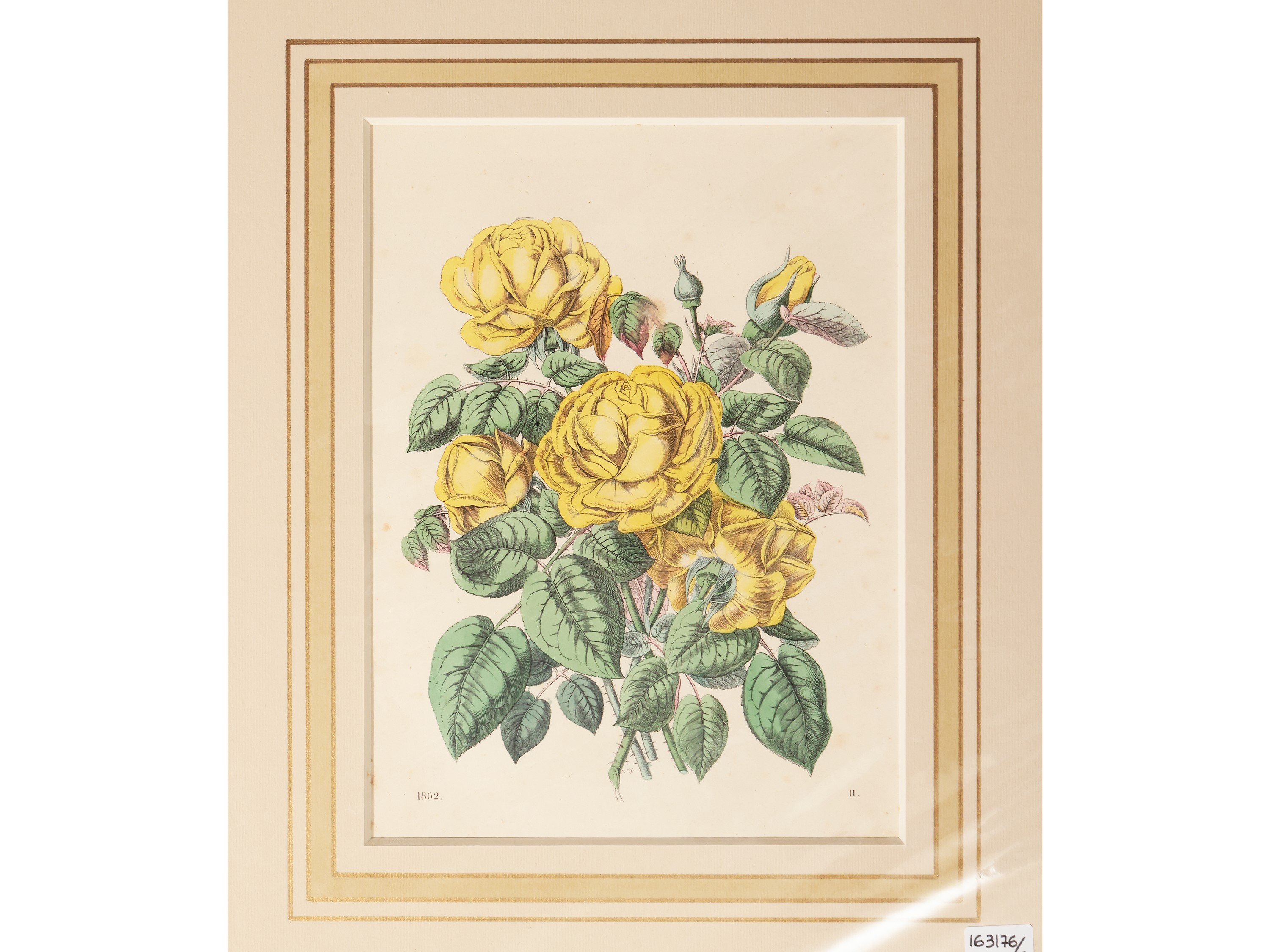 Fiori