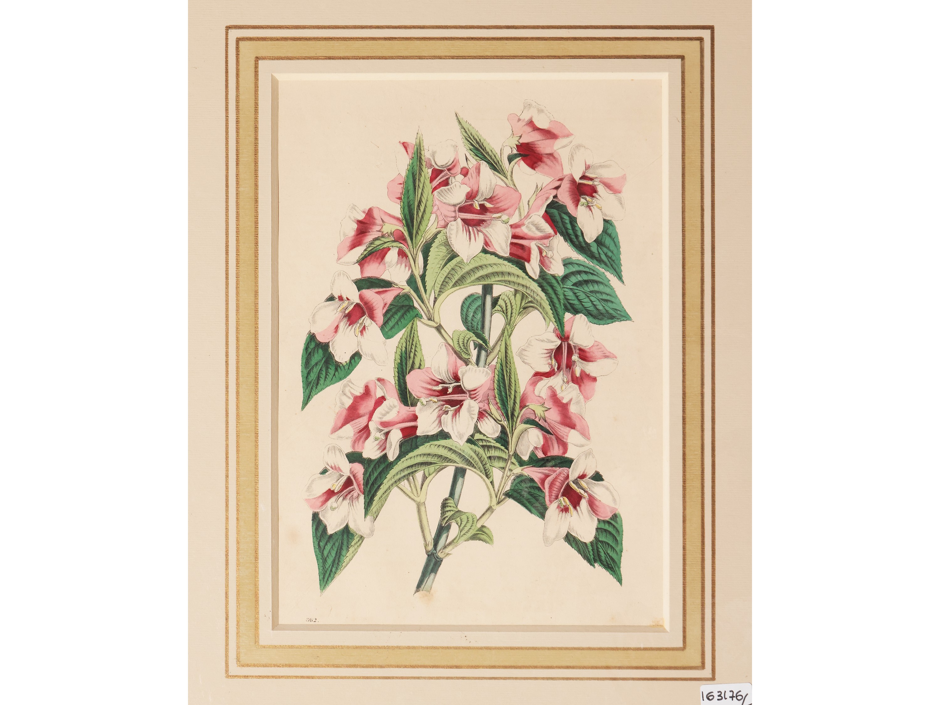Fiori