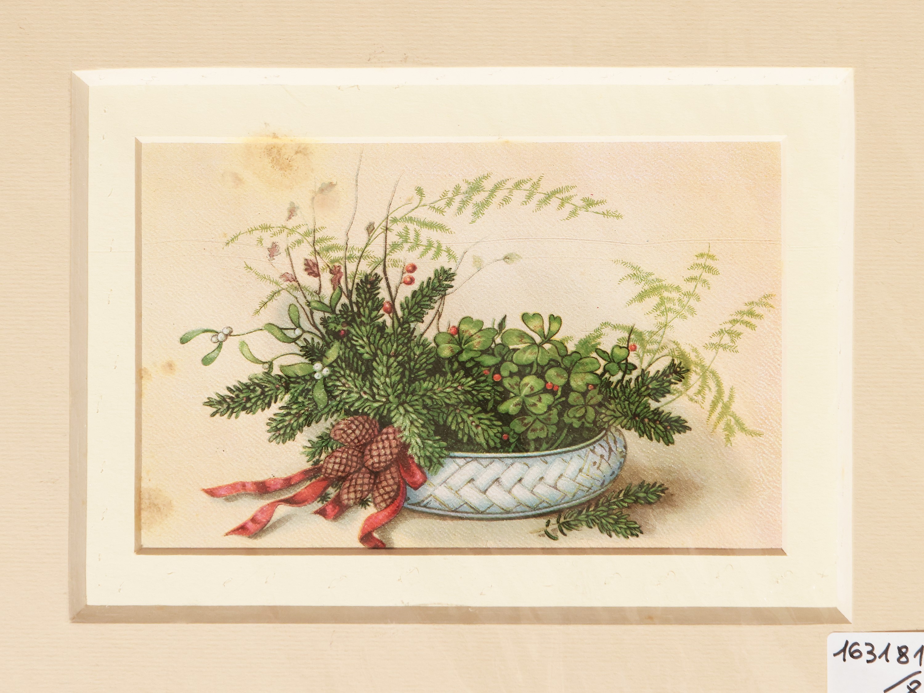 Nature Morte con Fiori