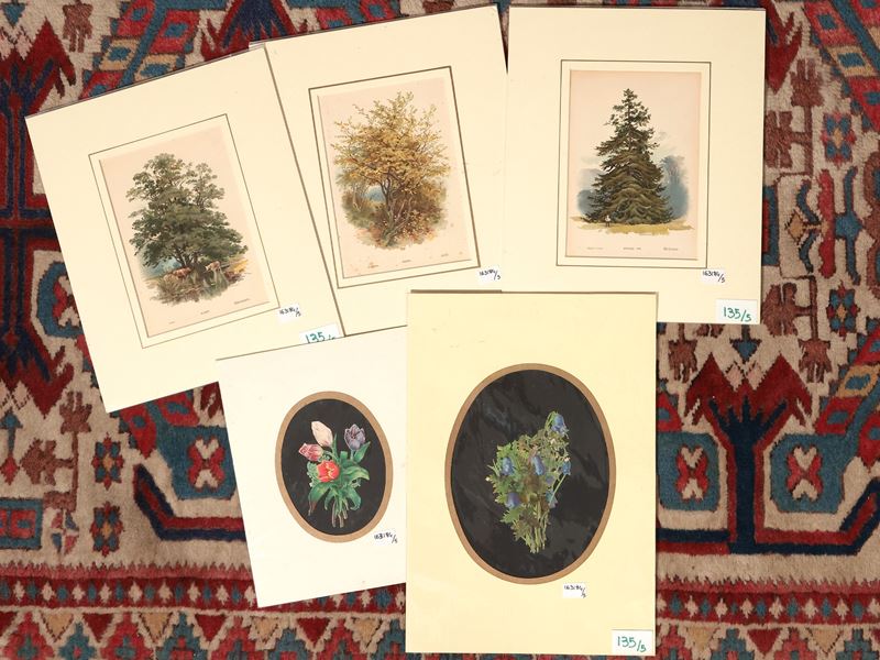 Alberi e Fiori