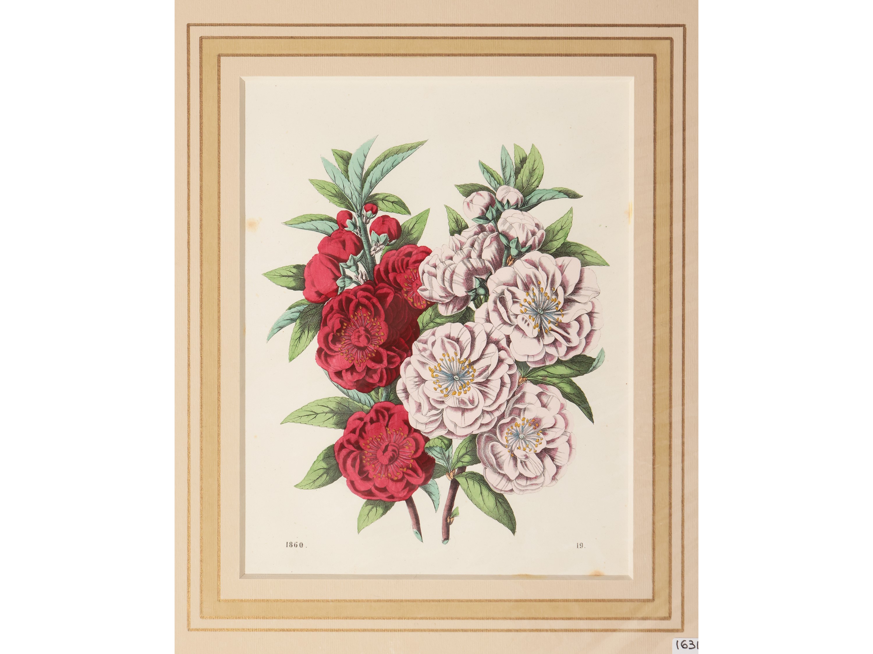 Fiori